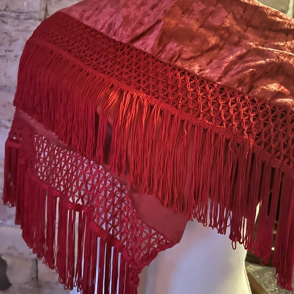 Dior Red Crushed Velvet Fringe Scarf - Picture 3 of 6